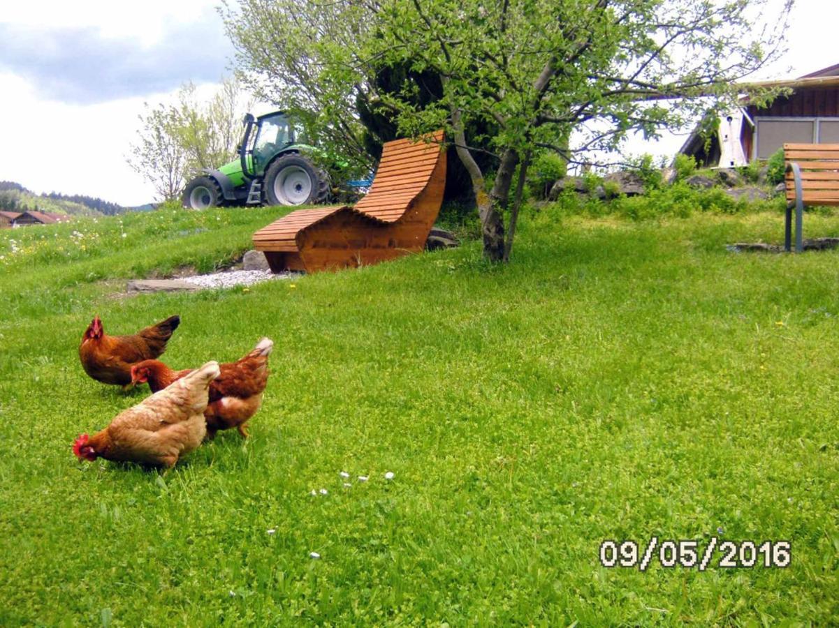 Ferienbauernhof Köpf *